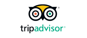 TripAdvisor300
