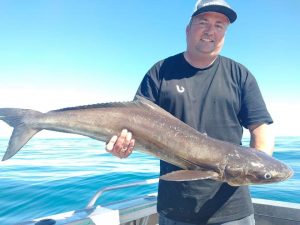 Ben White has a great trip offshore on the Gold Coast last week scoring this great quality Cobia