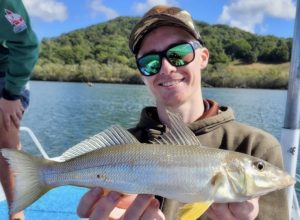 This beautiful big 40cm Whiting caught by Josh on the Tweed River with Brad Smith Fishing Charters - Coomera Houseboats Fishing Report