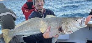Gavin from Seaprobe Fishing Charters has been finding some great quality Jewfish for his customers