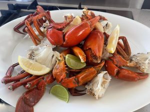 Delicious fresh crab caught from and prepared onboard a Coomera Houseboat 