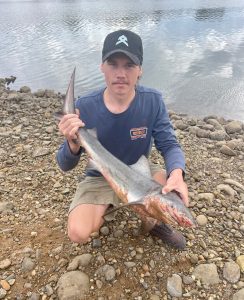 Ash did well landing his first Bull Shark for the season using freshwater eel for bait in the Coomera River