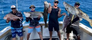 Gavin from Seaprobe Fishing Charters with an impresive haul of Snapper and Jewfish off the Gold Coast