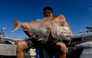 Scott Kempton with a cracking Snapper landed from the close reefs off the Gold Coast recently