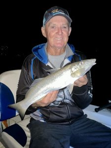 Wayne Young landed this elbow slapping 40cm Whiting in the Nerang River using blood worm for bait