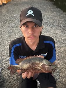 Ash caught and released his first Mangrove Jack of the season in the Coomera River