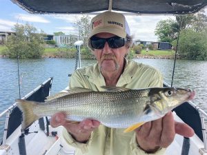 Geordie with a big Whiting caught by trolling a Samaki redic lure with Gold Coast River Charters