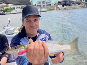Mark caught this 35cm Whiting with a Samaki Redic lure with Clint from Gold Coast River Charters