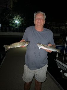 Tommy did well landing a great feed of Whiting from the Nerang River