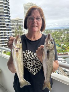 Pam Brigginshaw caught a great feed of quality Whiting on the Gold Coast last week