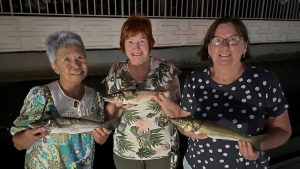 Deb, Pam and Dang had a great night catching a fantastic feed of Whiting in the Nerang River recently