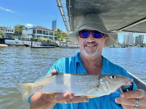 Tony caught this quality 39.5cm Whiting fishing the Nerang River with Clint from Gold Coast River Charters